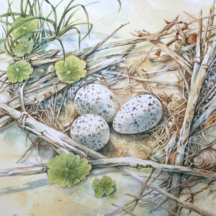 18 March - 3 April 2025, Watercolour Two with Lesley Wallington