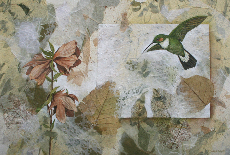 Botanicals in Collage and Gouache with Lesley Wallington