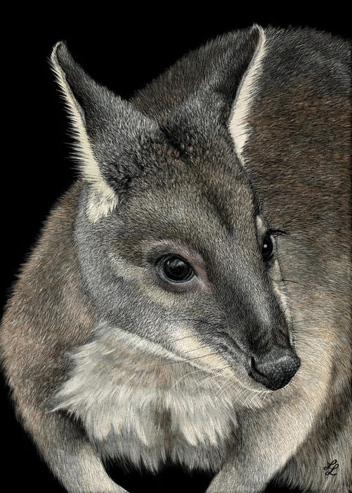 Pademelon - Australian Art Greeting Card