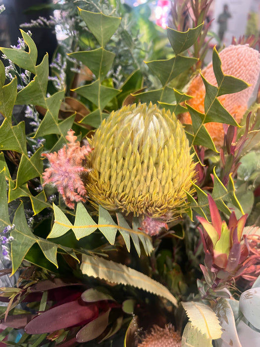 Floral Dreamlines – Abstracting Native Flowers with Caroline Reid (NEW)