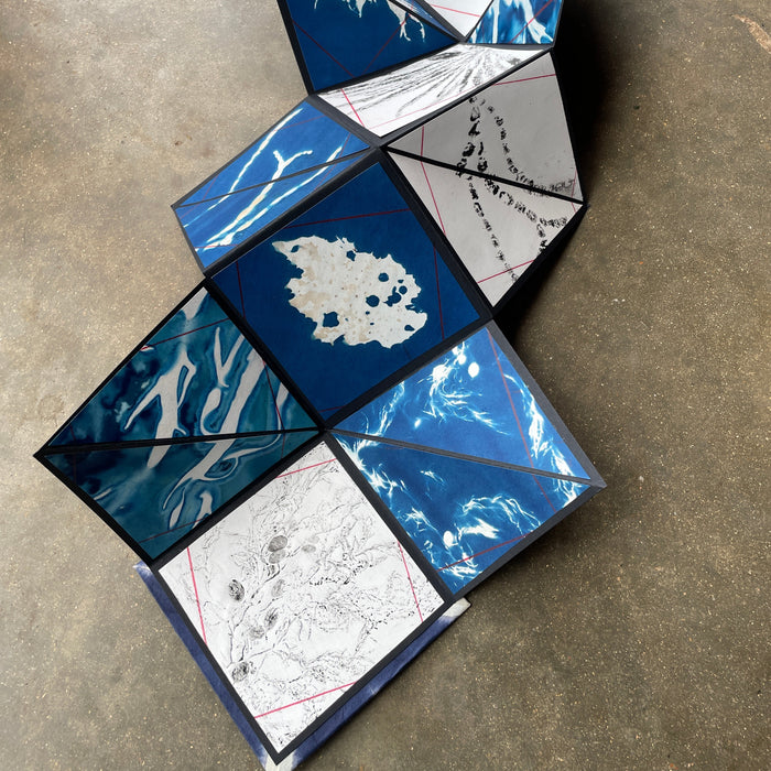 Blueprints of the Sea with Dr Inke Falkner (NEW!)