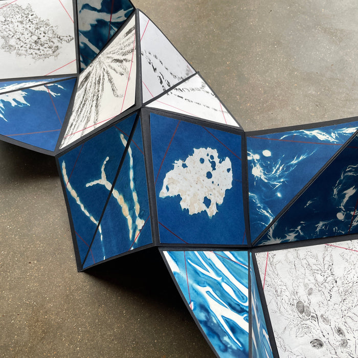 Blueprints of the Sea with Dr Inke Falkner (NEW!)