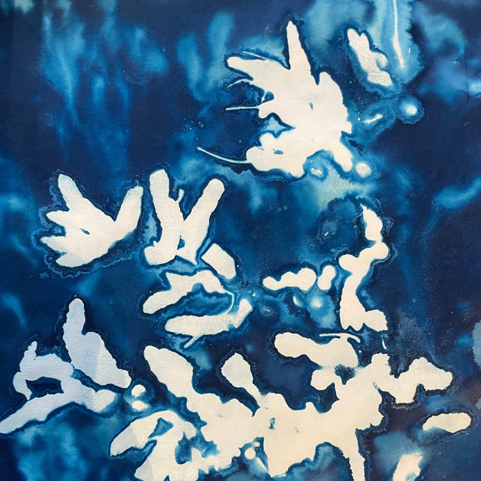 Blueprints of the Sea with Dr Inke Falkner (NEW!)
