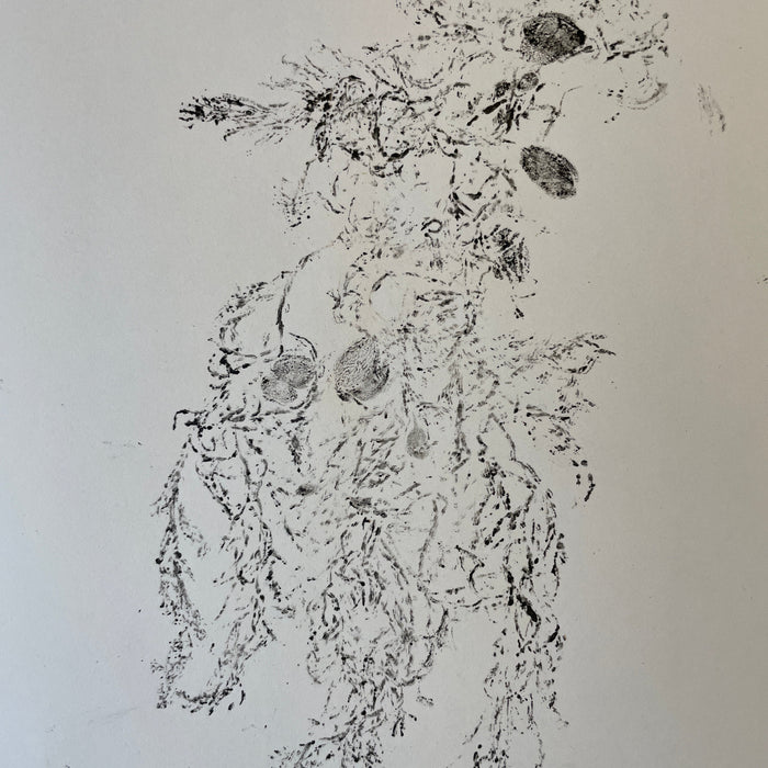 Blueprints of the Sea with Dr Inke Falkner (NEW!)