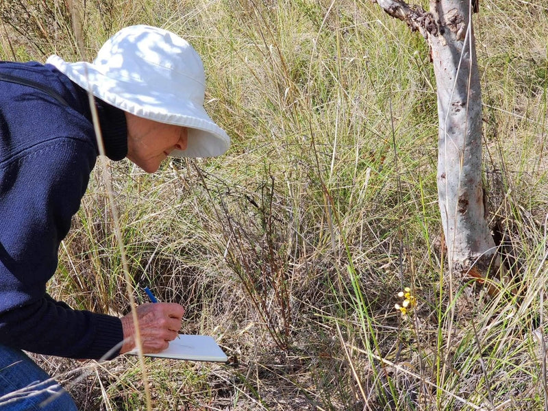 JOURNAL IN THE FIELD – with Ami