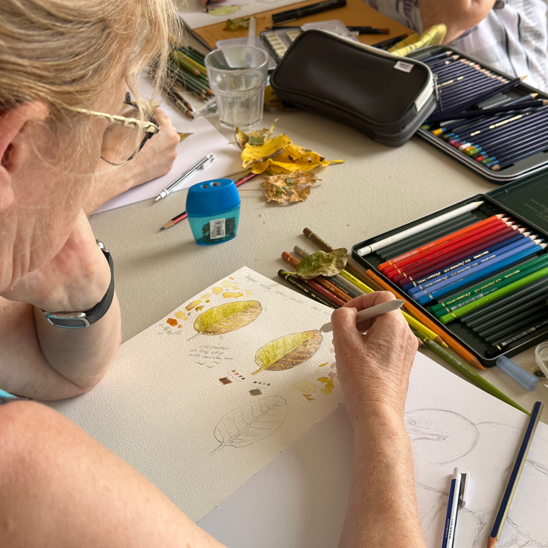 HERON ISLAND NATURE TOUR - ARTIST RETREAT: 17 – 22 February 2027 - $4,520.00