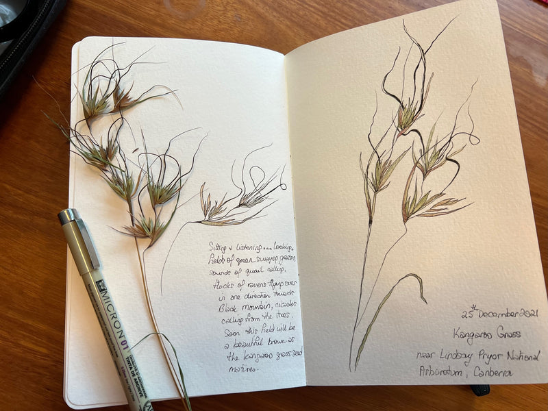 ‘Nature Journalling the Gardens of Eastbourne' - with Julia Landford