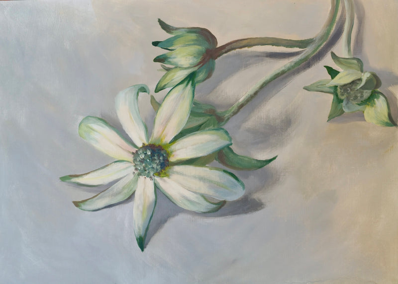 Nature in Bloom - colour and realism in acrylics with Xiaochen (Fiona) Bao (NEW!)