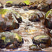 rocks in a stream in oil pastels by NatureArt Lab art class tutor Caroline Reid