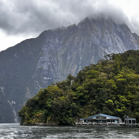 Explore New Zealand!