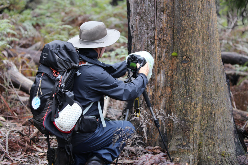 Tasmania Fungi Season Nature Experience, May 2027 - $6,800.00 Bookings Now Open!