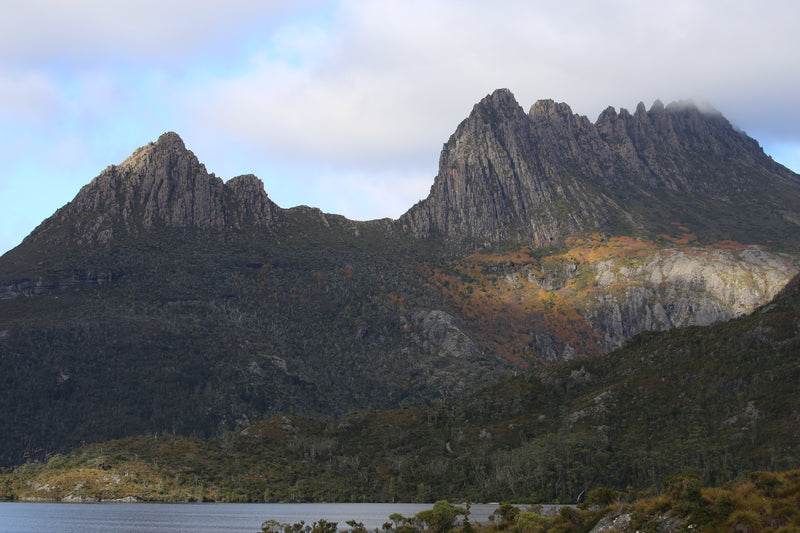 Tasmania Fungi Season Nature Experience, May 2027 - $6,800.00 Bookings Now Open!