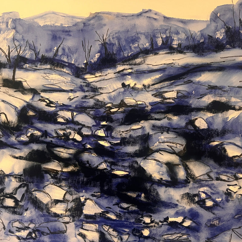 Basic Soft Pastel Techniques and Materials with Caroline Reid