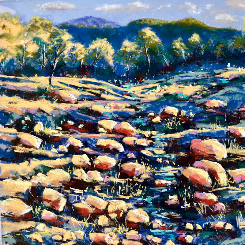 Basic Soft Pastel Techniques and Materials with Caroline Reid