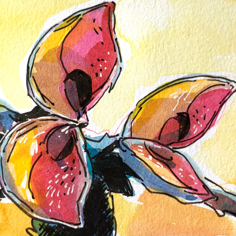 Pretty In Ink: Flowers in Pen and Ink with Jessica Riese