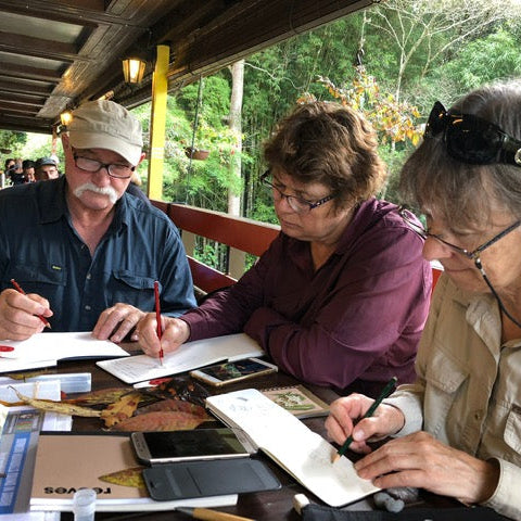 BEST OF BORNEO NATURE TOUR, 16 - 26 October 2026 - $10,850.00 with optional extensions!