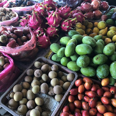 BORNEO NATURE TOUR, 16 - 26 October 2026 - Bookings Now Open!