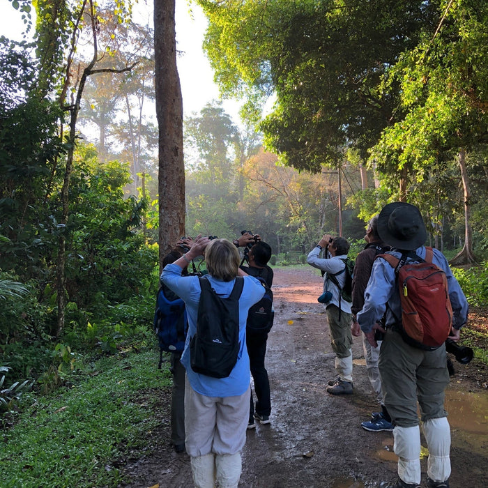 BORNEO NATURE TOUR, 16 - 26 October 2026 - Bookings Now Open!