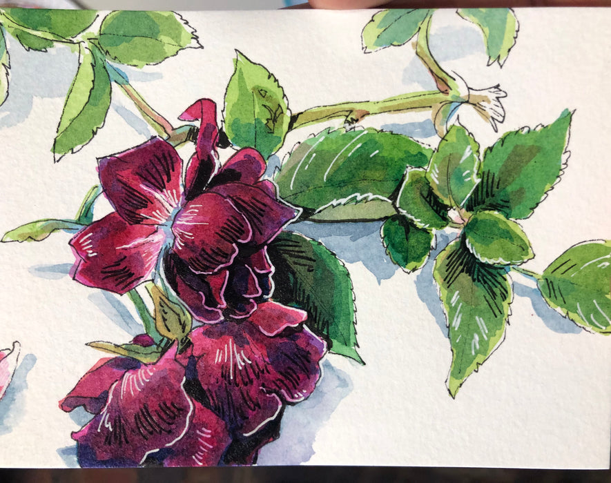 12 May 2024, Flowers in Ink with Jessica Riese