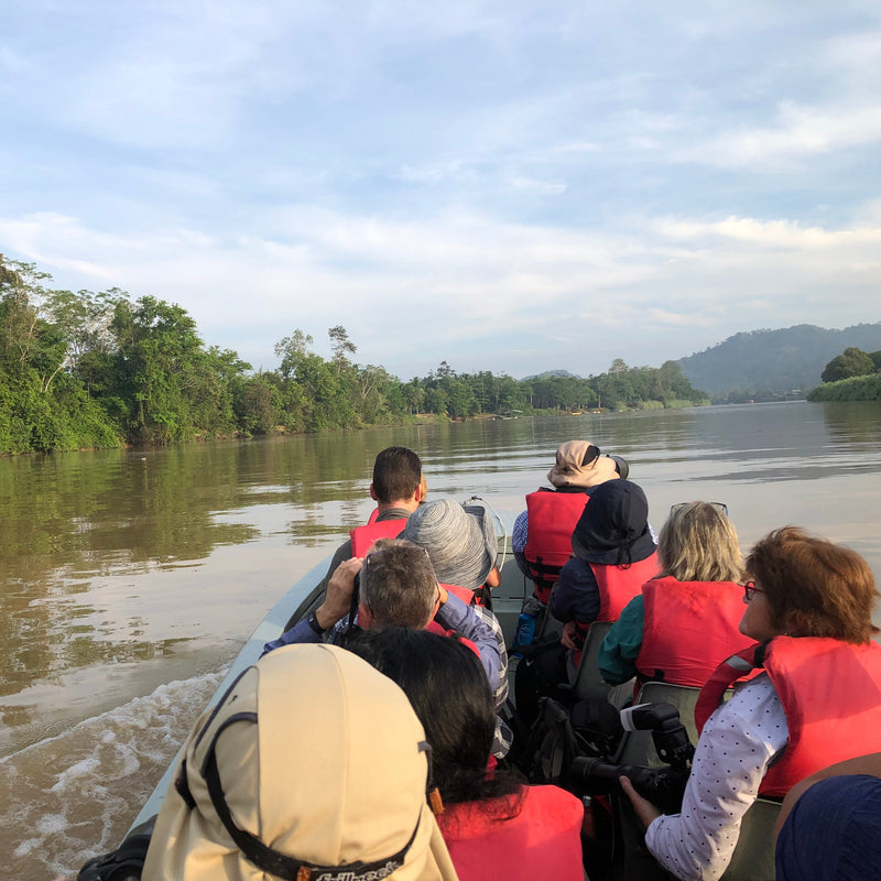 BEST OF BORNEO NATURE TOUR, 16 - 26 October 2026 - $10,850.00 with optional extensions!