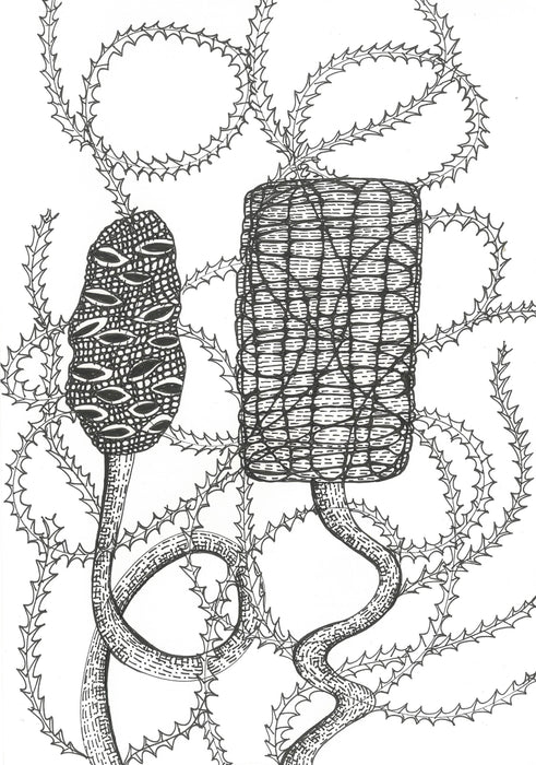 Absolute Beginners Mixed Media with Alison Oberg (NEW!)