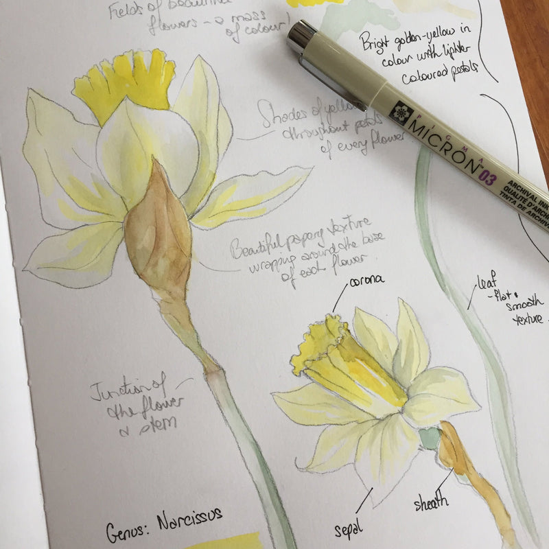 Floriade 2026 – 'Feast of Flowers' – Science and Nature, NatureArt Lab Workshops