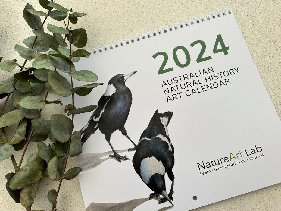 2024 Natural History Art Calendar - brand new larger format!