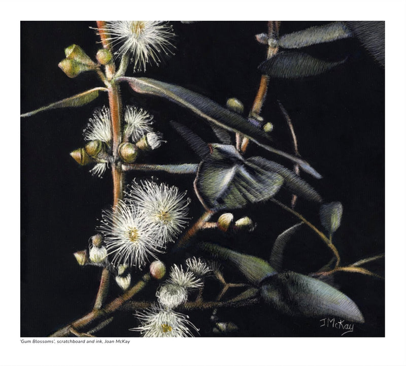 2027 Natural History Art Calendar