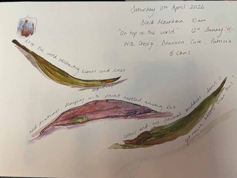 JOURNAL IN THE FIELD – with Ami
