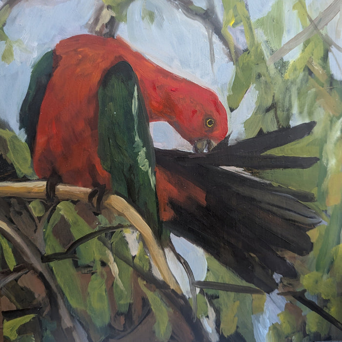 Oil painting of a King Parrot by NatureArt Lab art class tutor Taylor Singh
