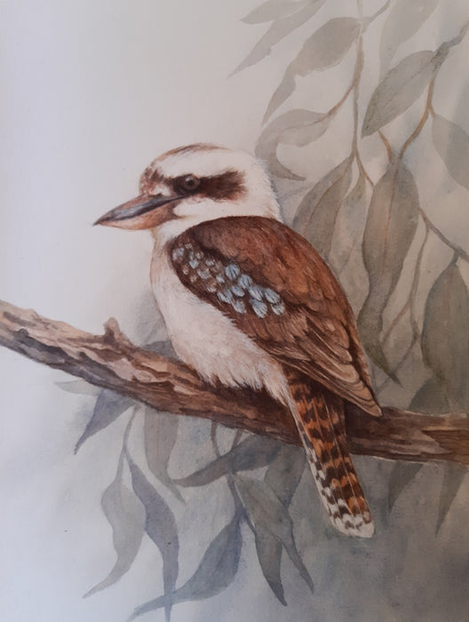 Australian Bird Series: Laughing Kookaburra