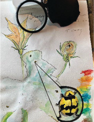 Winter in the woods - National Arboretum Arts and Photography Program