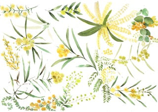 2026 Natural History Art Calendar