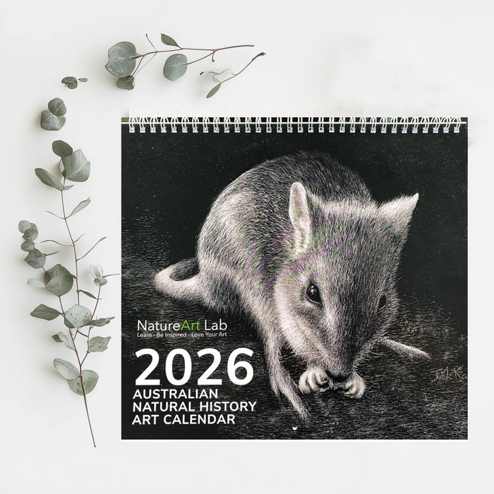 2026 Australian Natural History Art Calendar with a possum illustration on a white background with eucalyptus leaves.
