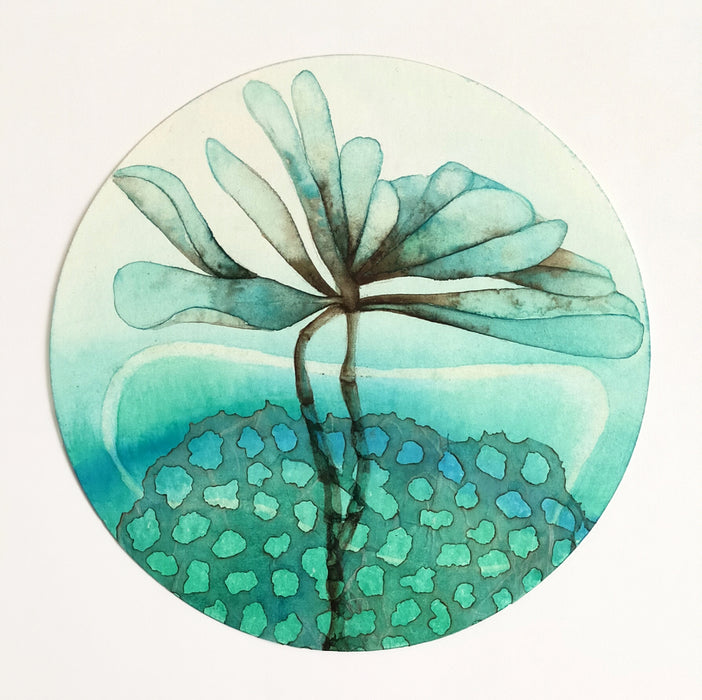 Painting from Nature with Sharon Muir