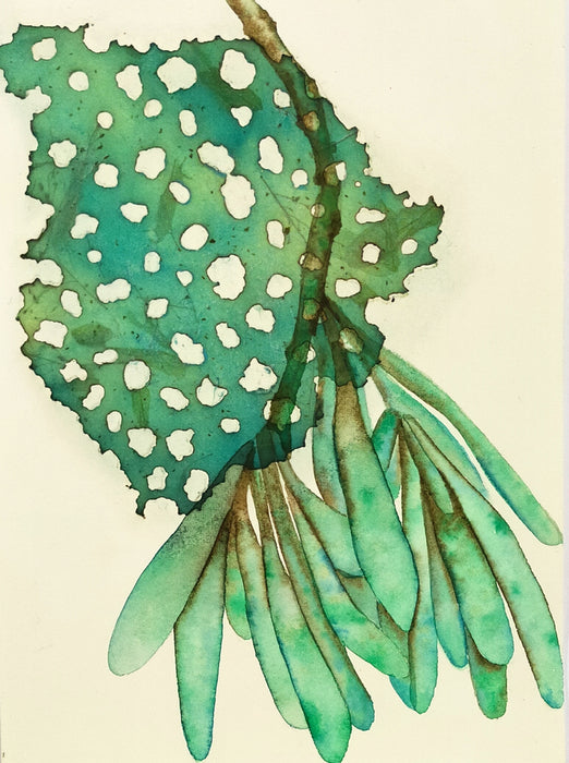 Painting from Nature with Sharon Muir