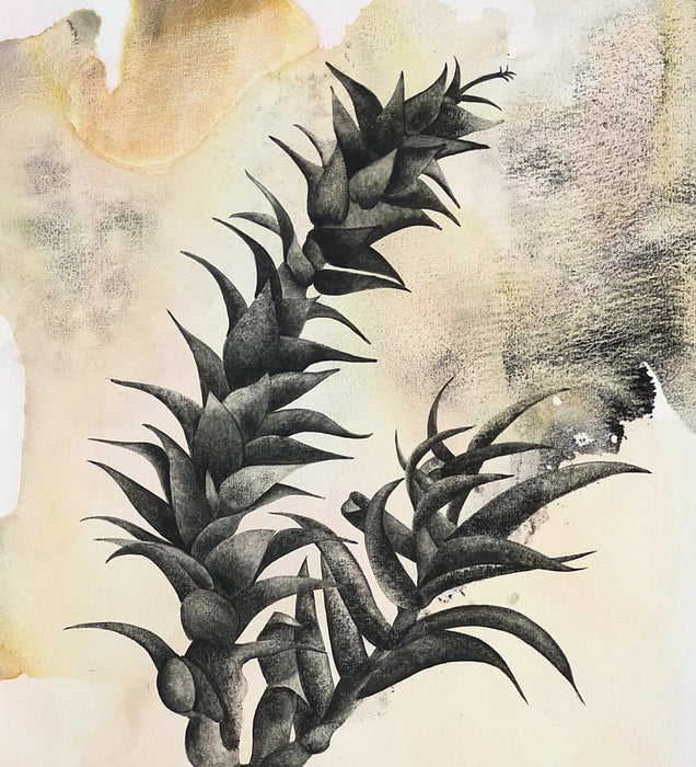 Painting from Nature with Sharon Muir