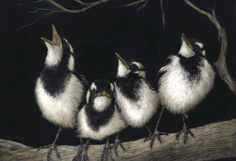 Magpie Larks - Australian Art Greeting Card