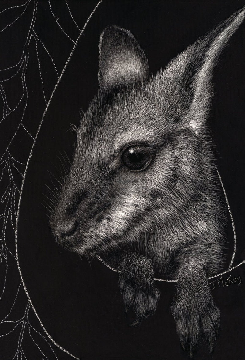 Detailed Black and white scratchboard image of a joey in a pouch. A leaf design  is stitched around the image