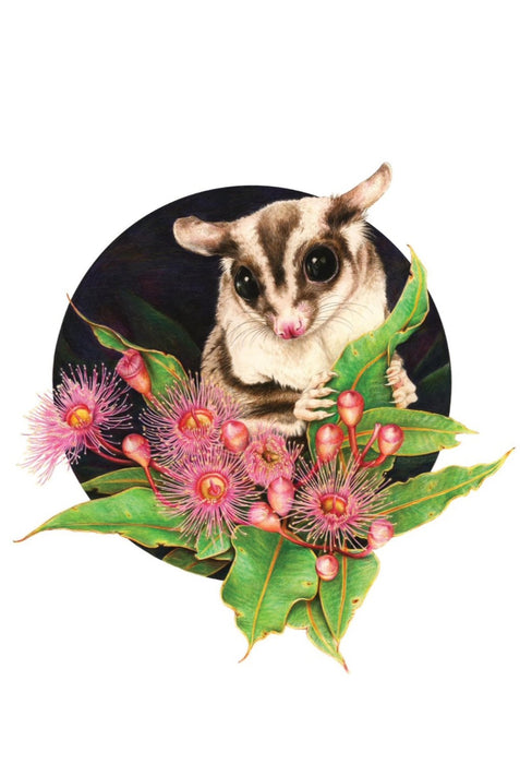 Sugar Glider - Australian Art Greeting Card