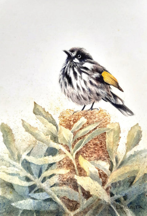 New-Holland Honeyeater - Australian Art Greeting Card