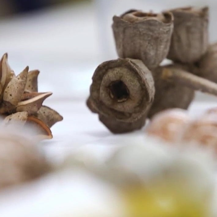 Saturday 7 November 2026 – M16 Artspace & NatureArt Lab Open Day
