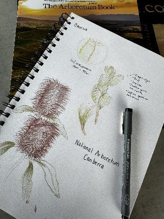 Winter in the woods - National Arboretum Arts and Photography Program