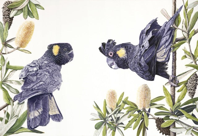 BYRON BAY, NSW – ARTIST RETREAT – RED TAILED BLACK COCKATOOS IN PASTEL: 25 – 28 February 2027 – 25% Deposit $400.00 ($1,600.00)