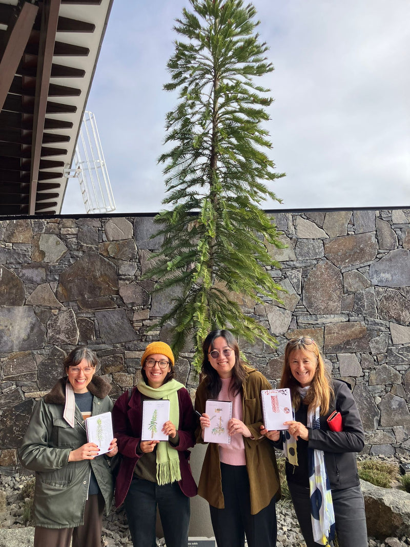 Winter in the woods - National Arboretum Arts and Photography Program