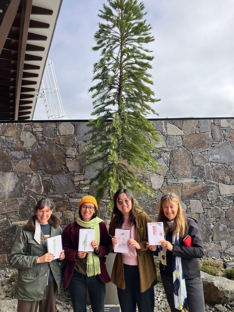 Winter in the woods - National Arboretum Arts and Photography Program
