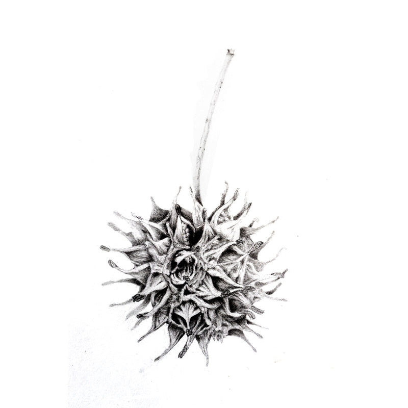 Drawing One Foundation Studies, with Renee Prescott