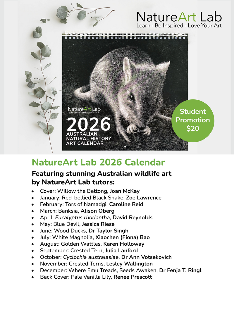 NatureArt Lab 2026 calendar with a wombat illustration on a white background