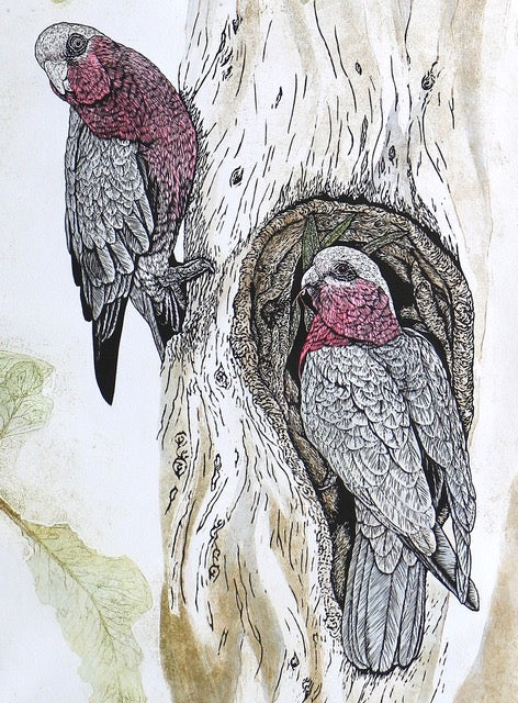 Birds in detail – a linocut printmaking weekend