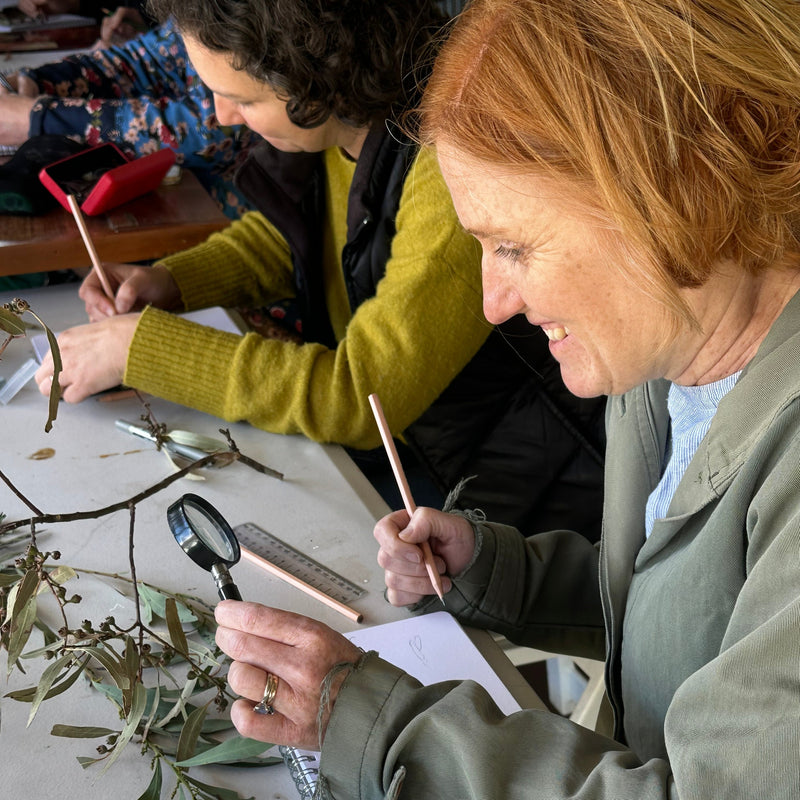 Saturday 7 November 2026 – M16 Artspace & NatureArt Lab Open Day